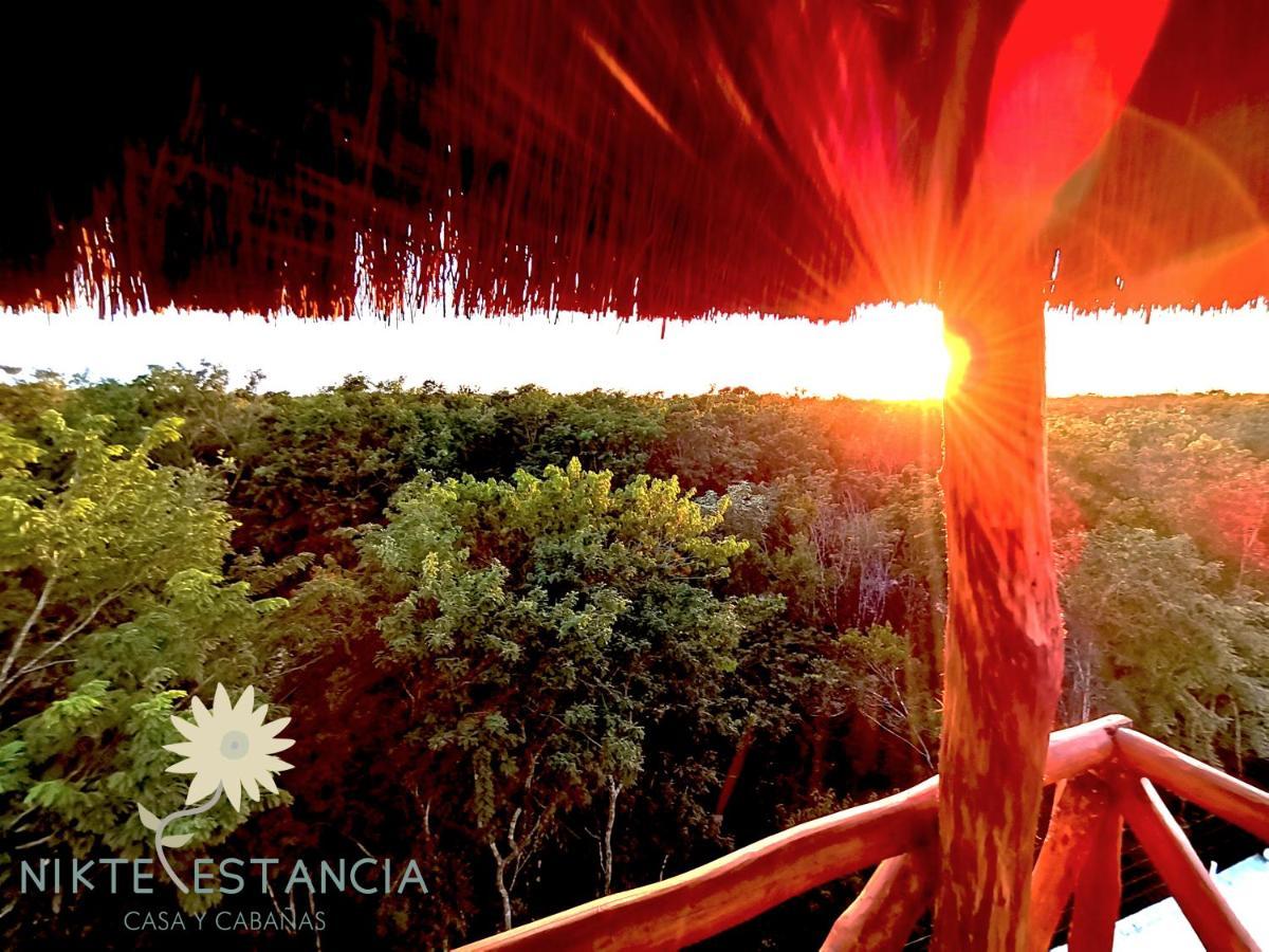 Nikte Estancia Y Jardin 호텔 푸에르토 모렐로스 외부 사진